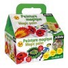 PRIMA MAGIC STARTER SET 4X40ML